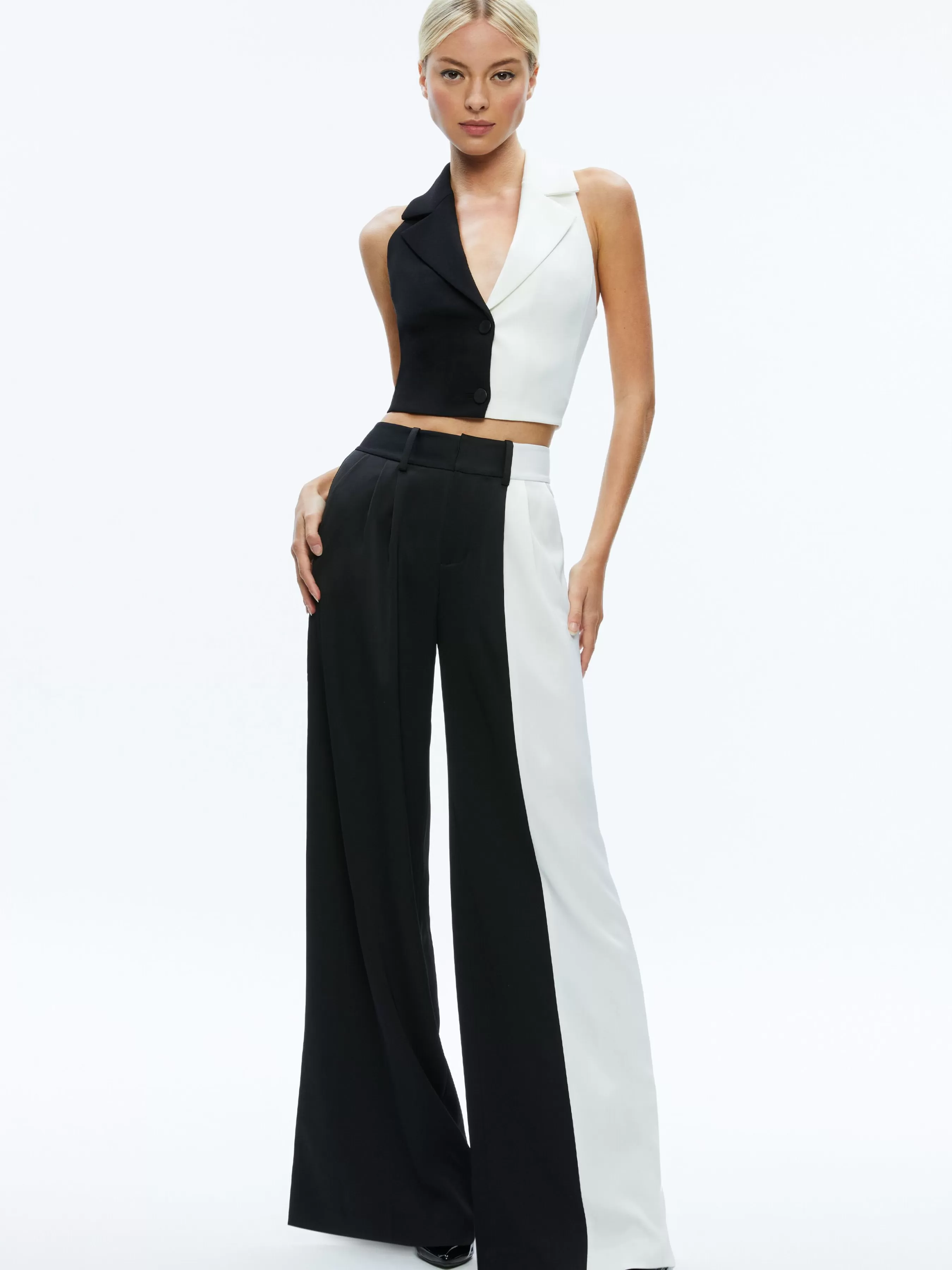 Alice and Olivia MERI COLOR BLOCK BLAZER TOP + POMPEY COLOR BLOCK PANT